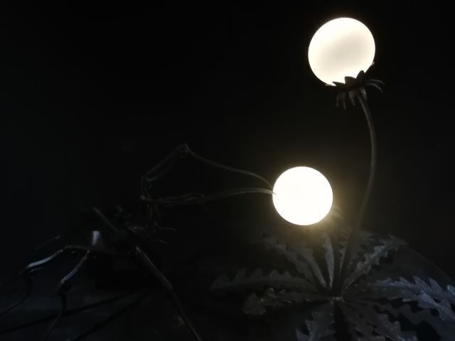 和のあかり×百段階段2024_121501.jpg