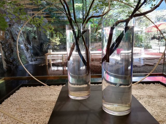 百段階段2024夏_110948.jpg