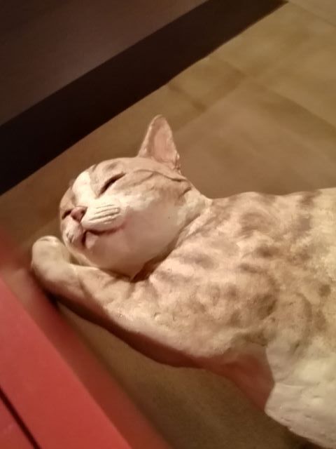 百段階段2024夏_113503-1.jpg