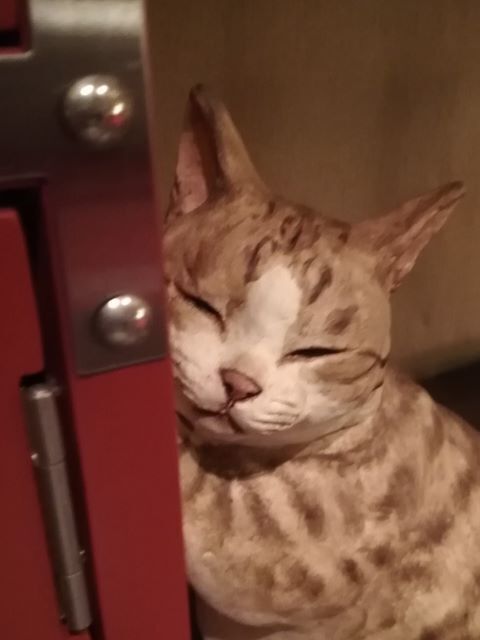 百段階段2024夏_133751.jpg