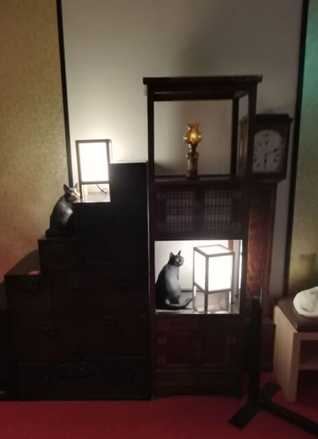 百段階段2024_113120.jpg