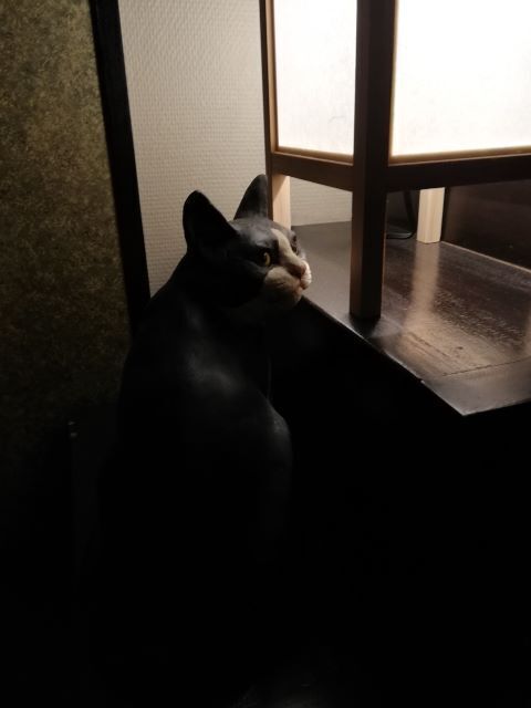 百段階段2024_113328.jpg
