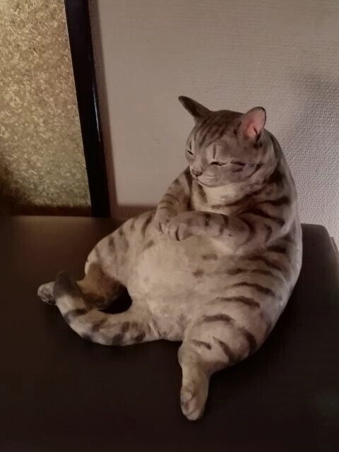 百段階段_113202.jpg