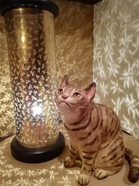 百段階段_113347.jpg