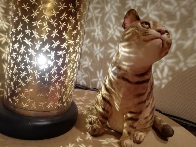 百段階段_132609.jpg