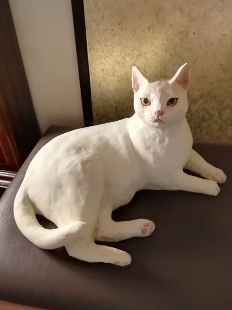 百段階段_133333.jpg