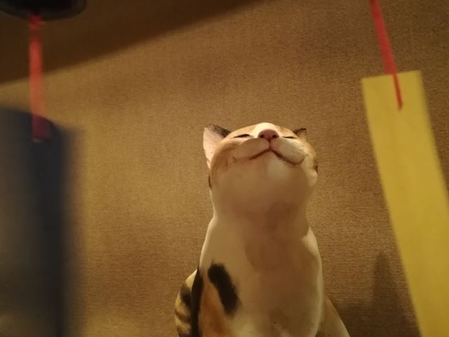 百段階段_133509.jpg