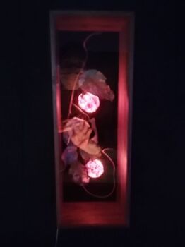 和のあかり×百段階段_124923.jpg